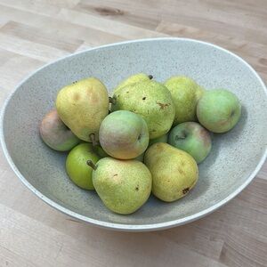 Tan Speckled Large Saddle Bowl